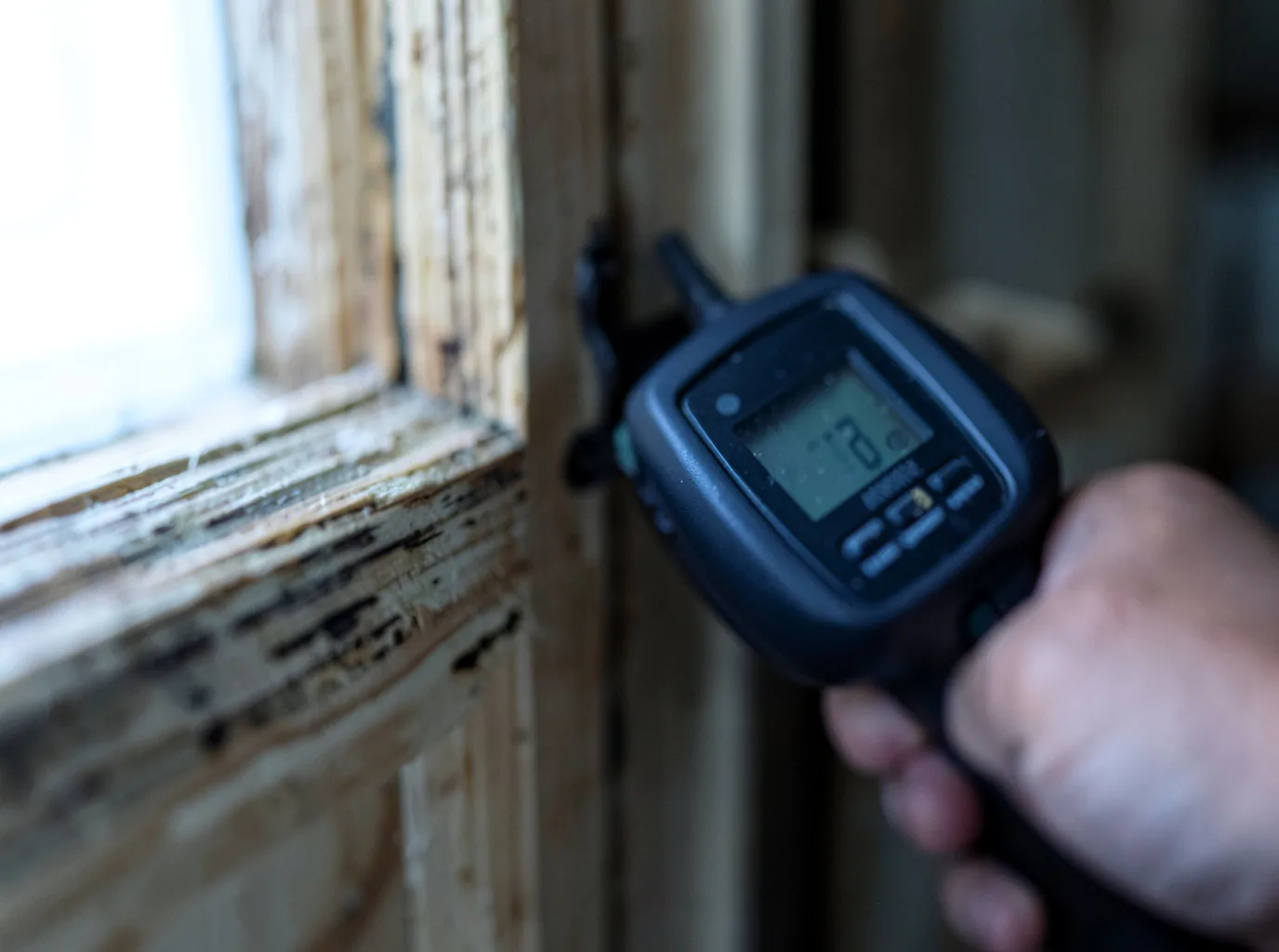 Moisture Inspection And Documentation in Mize, MS